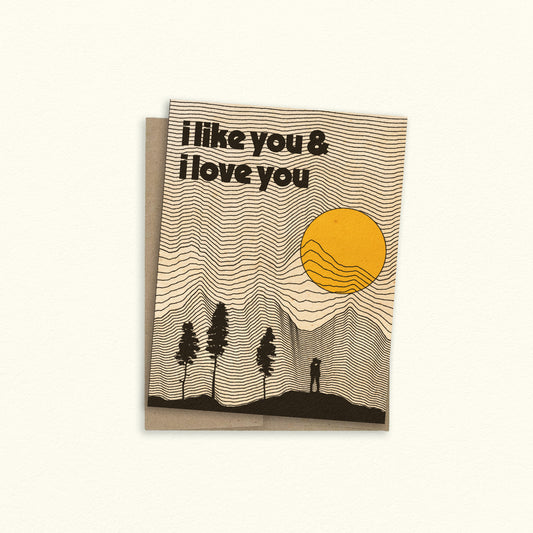 I Like You and I Love You Greeting Card